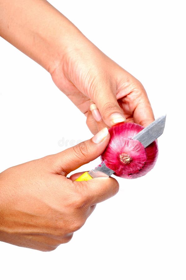 Peeling Onion stock photo. Image of peel, layers, bulb 176134