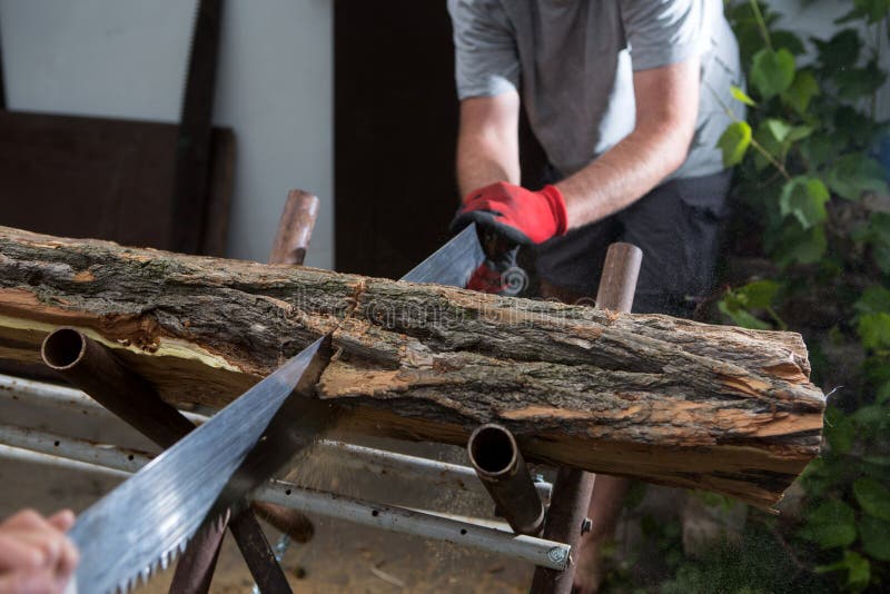 Cutting Trees For Firewood, Hand Saw Cutting Stock Image ... - 800 x 533 jpeg 74kB