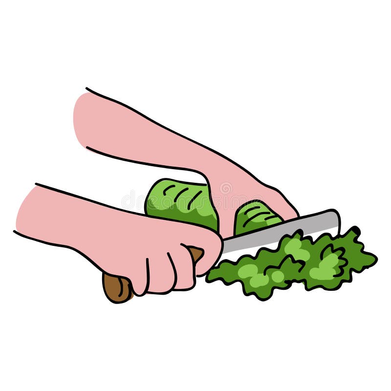 Cutting vegetable clip art stock illustration. Illustration of cafe 252646127