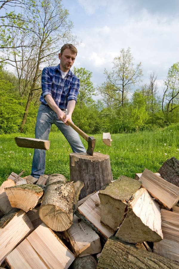 Cutting wood stock image. Image of blond, logging, logger - 5363297