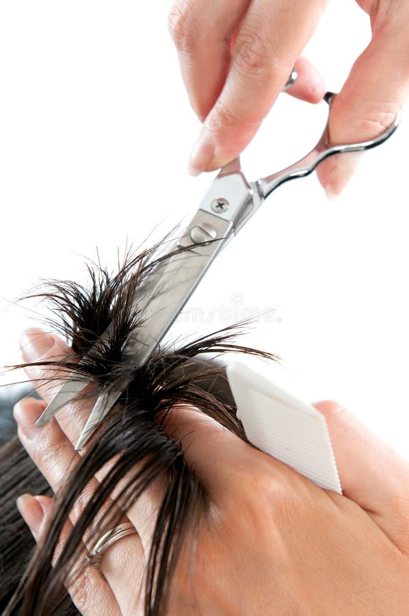 Hairdresser cutting long hair isolated on white background, scissors detail. Hairdresser cutting long hair isolated on white background, scissors detail.