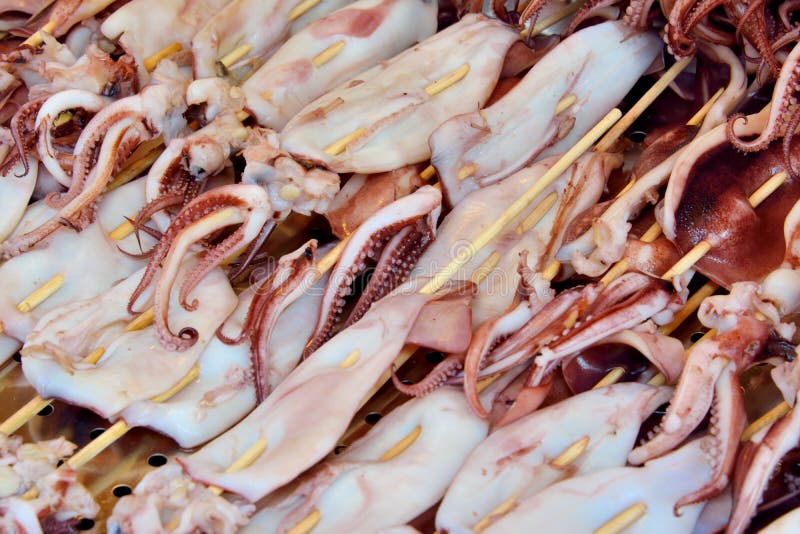 Cuttlefish In String For Toast Stock Image - Image of ...