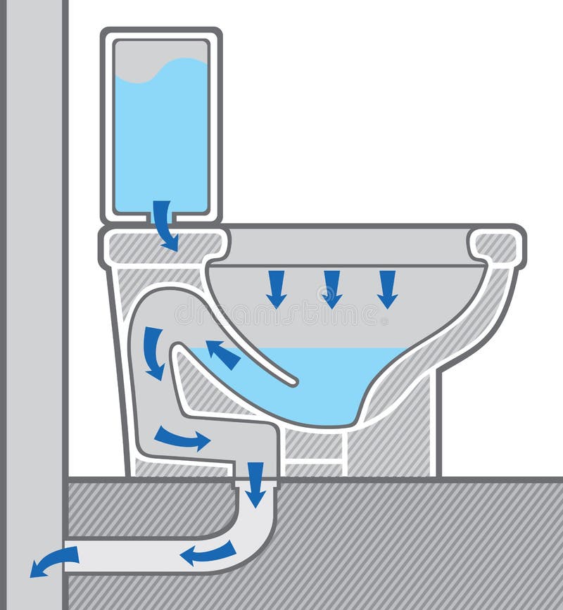  Toilette  illustration de  vecteur Illustration du 
