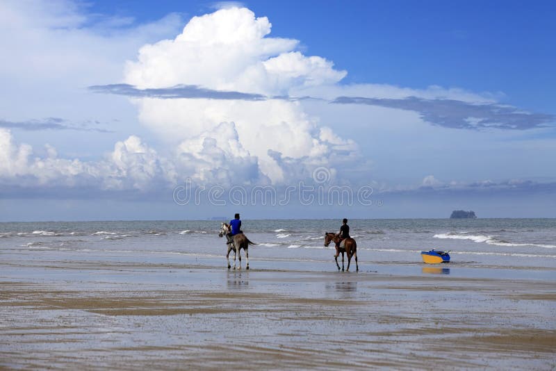 Download Cwał na plaży obraz stock editorial. Obraz złożonej z piasek - 57674924