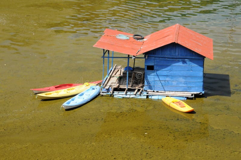 Cyanobacteria in Lake Atitlan Guatemala