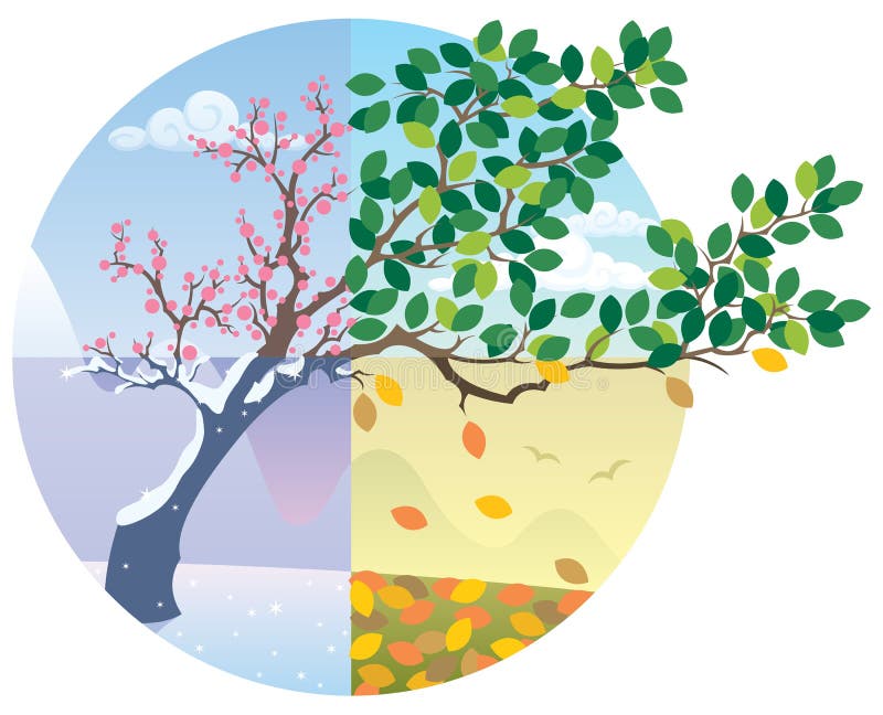 Cycle de saisons illustration de vecteur Cycle de saisons illustration de vecteur