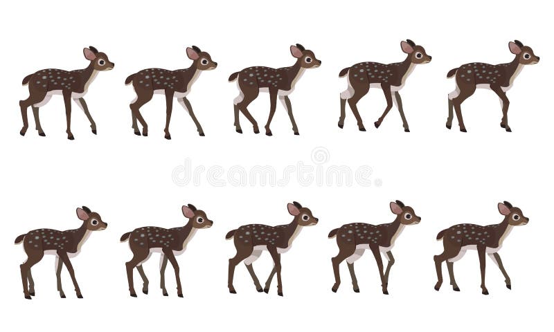 Spotted Deer`s Walking Cycle for Animation. Steps of Deer Cub. Stock Vector  - Illustration of element, full: 180489089