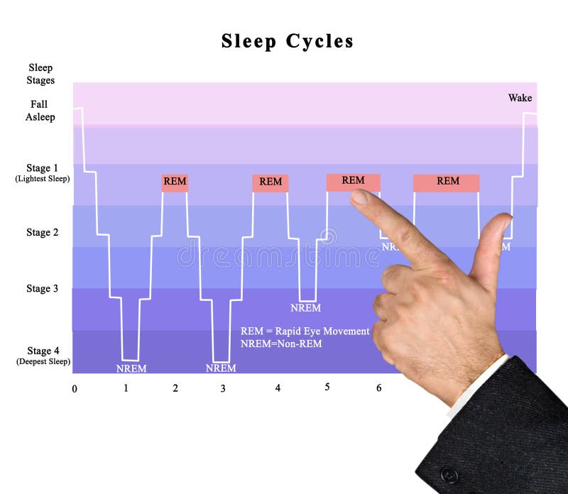 sleep cycle wake up time sleep cycle wake up time