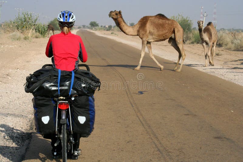 Cycling through Desert stock image. Image of difficult 9868117