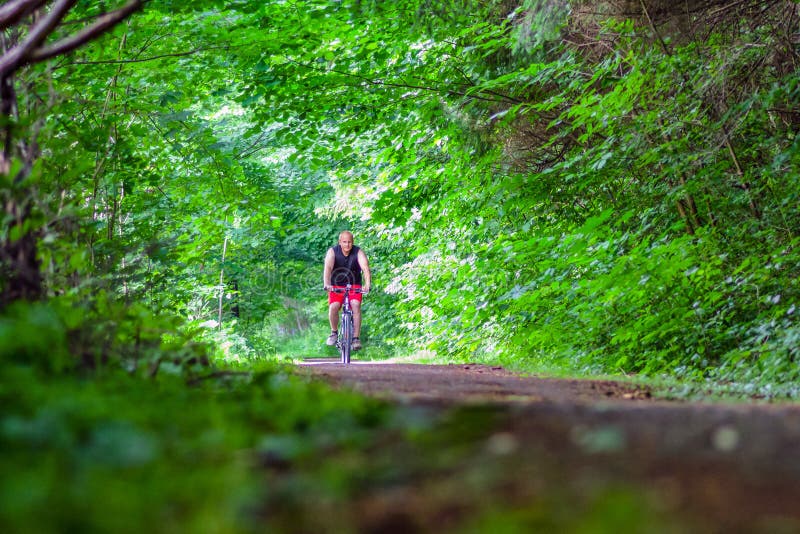 Cycling in forest on bike trial