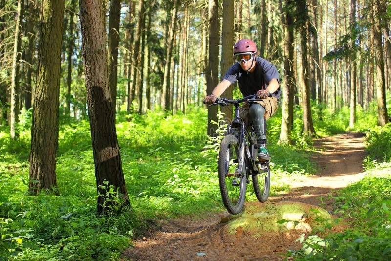 Cyclist in forest