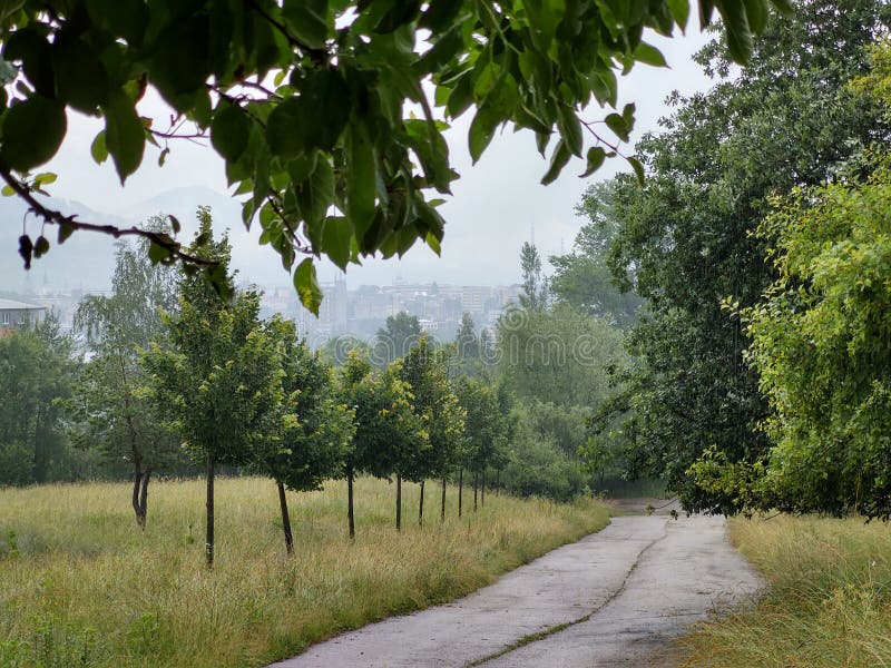 Cyklista v lese v prírode počas leta alebo jesene.