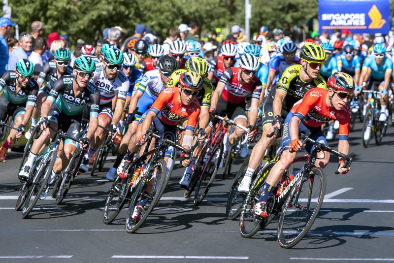 Cyclists Competing at the Tour Down Under. Editorial Stock Image ...