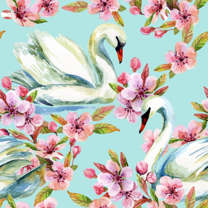 Cygne d'aquarelle et fleur de cerise illustration libre de droits Cygne d'aquarelle et fleur de cerise illustration libre de droits