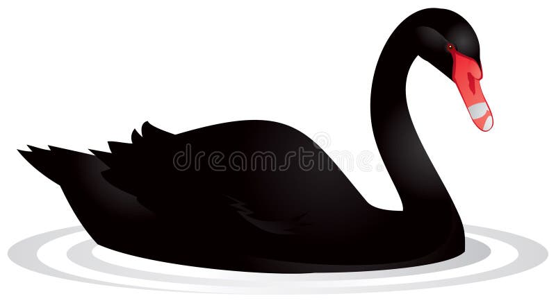 Cygne noir illustration libre de droits Cygne noir illustration libre de droits
