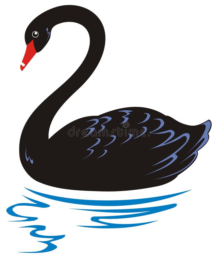 cygne noir illustration stock cygne noir illustration stock