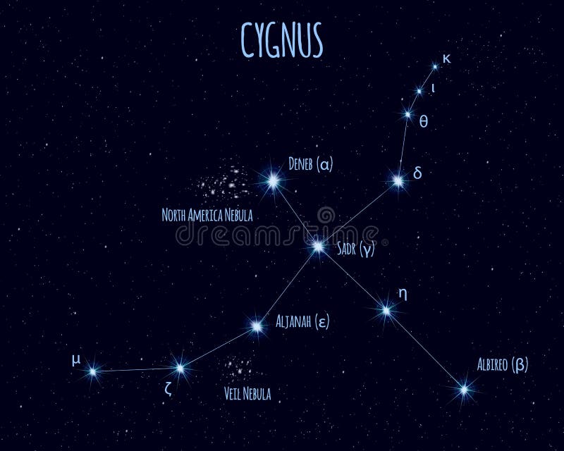 Cygnus constellation