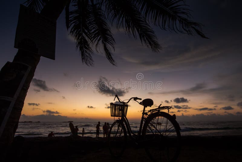 Cykla på stranden nära palmträd och havet på solnedgången arkivfoto Cykla på stranden nära palmträd och havet på solnedgången arkivfoto