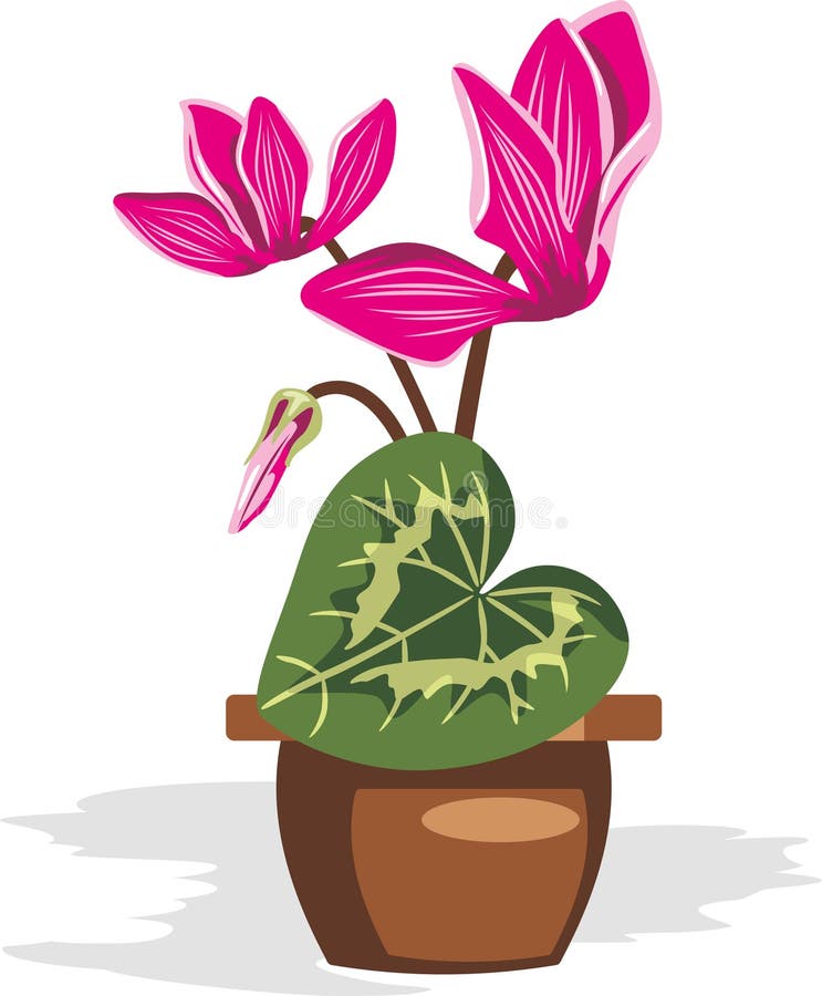 Cyklamen w garnku ilustracja wektor