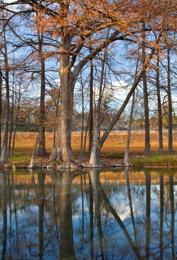 Guadalupe River Kerrville Texas Stock Photos Free & RoyaltyFree