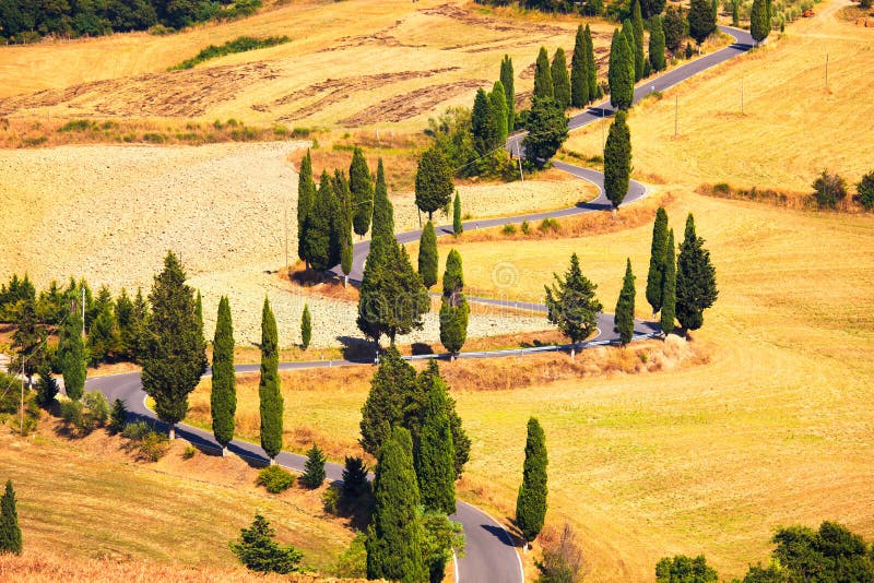 Cypress tree scenic road in Monticchiello near Siena, Tuscany, I