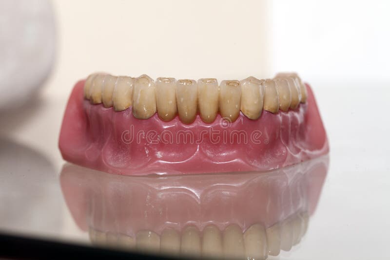 Cyrkon porcelany zębu talerz zdjęcie stock Cyrkon porcelany zębu talerz zdjęcie stock