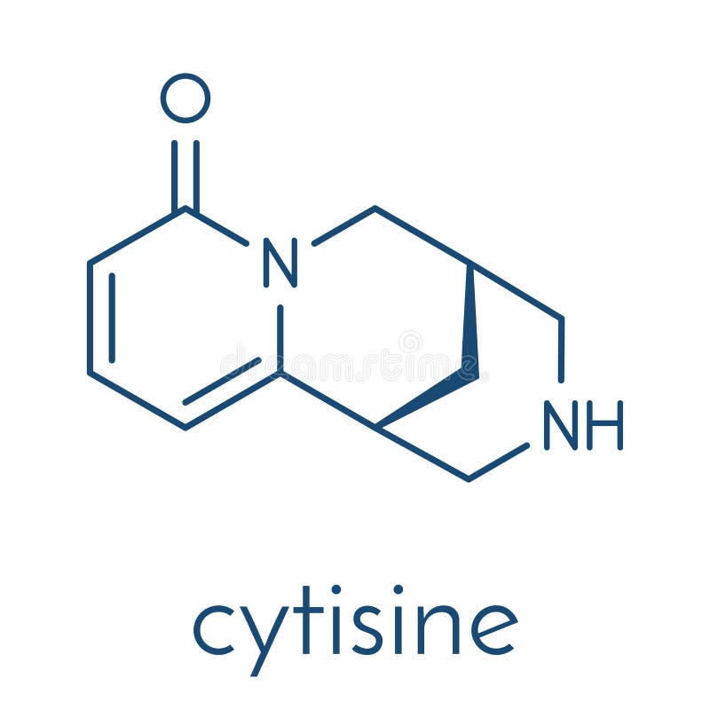 Structure and numbering of cytisineA) projection structure with -  Download Scientific Diagram