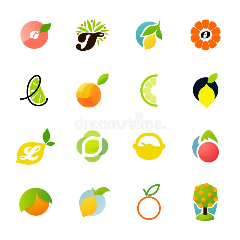Cytrus rodzina - cytryna, pomarańcze, wapno, tangerine
