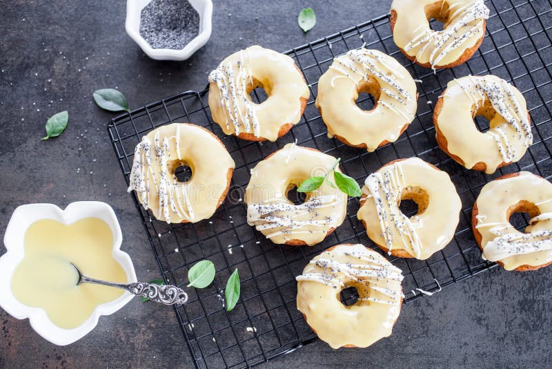 Cytryn donuts fotografia royalty free Cytryn donuts fotografia royalty free