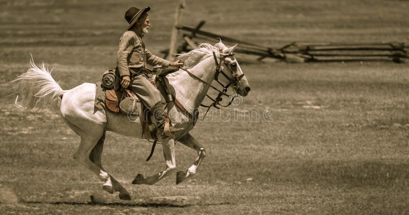 Cywilnej wojny reenactor na horseback