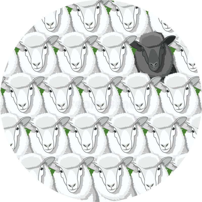 Black sheep among a herd of white sheep. One lamb stands out from the rest. Vector animals. Black sheep among a herd of white sheep. One lamb stands out from the rest. Vector animals