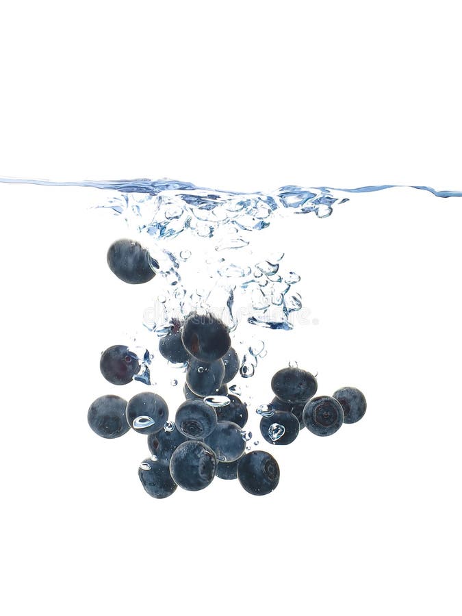 czarnej jagody pluśnięcie zdjęcia stock czarnej jagody pluśnięcie zdjęcia stock