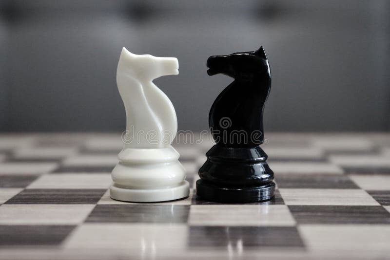 Czarny i biały szachowi konie przed each inny jak wyzwania i rywalizaci pojęcie