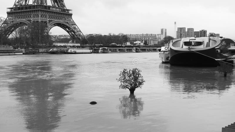 czarny i biały wylew w Paryż - najlepszy materiał filmowy zakrywa wydarzenia