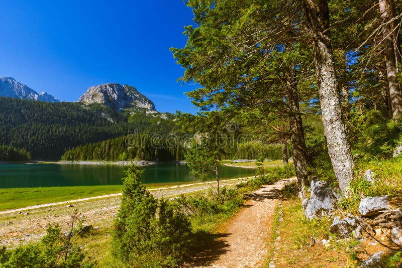 Czarny jezioro w Durmitor, Montenegro - (Crno Jezero) zdjęcie royalty free Czarny jezioro w Durmitor, Montenegro - (Crno Jezero) zdjęcie royalty free