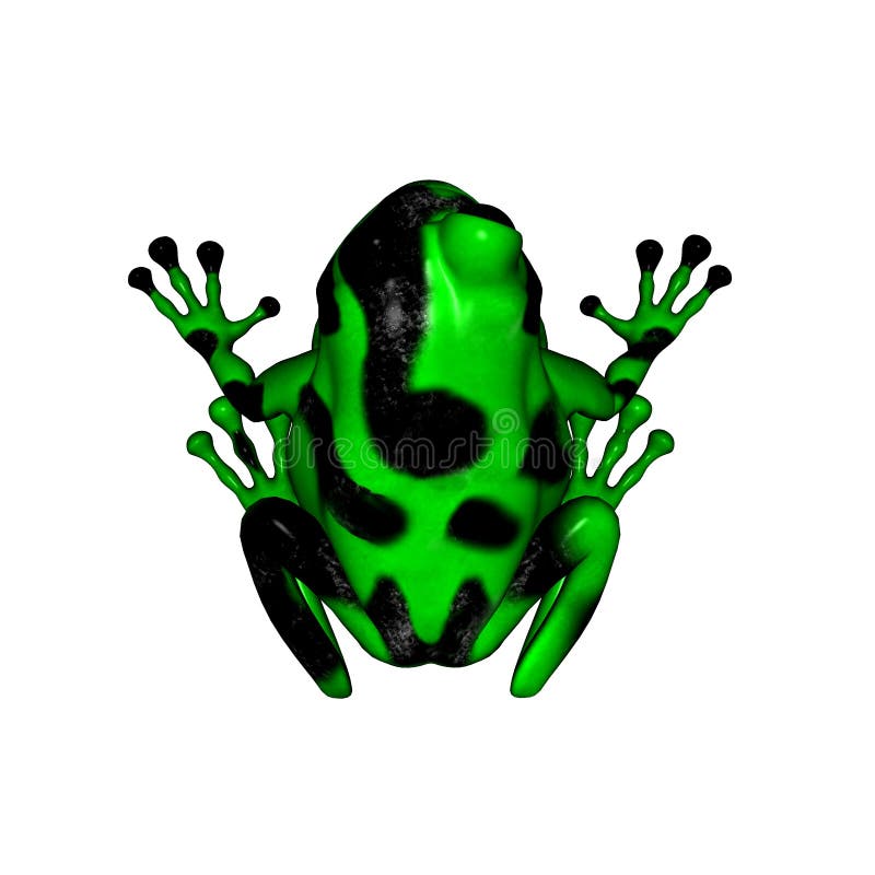 3D render of a green and black poison dart frog. 3D render of a green and black poison dart frog