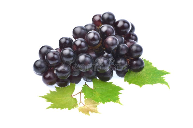 Czarny winogrono z liściem odizolowywającym na białym tle