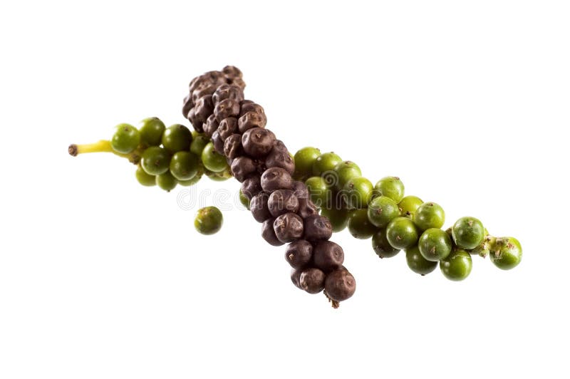 czarny zieleni peppercorns fotografia stock czarny zieleni peppercorns fotografia stock