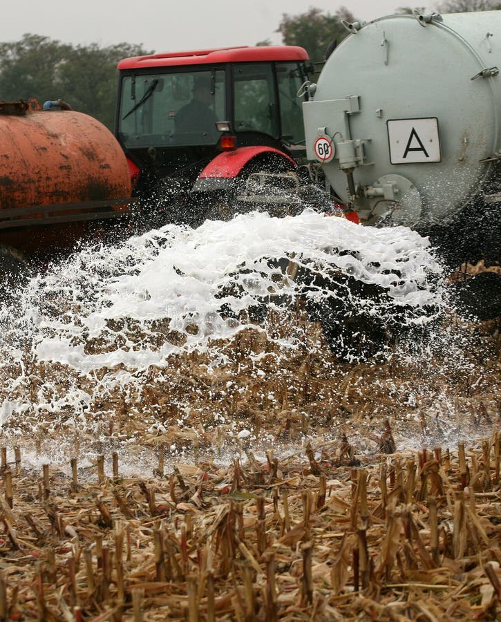 Czech farmers milk protest