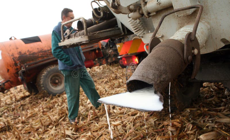 Czech farmers milk protest