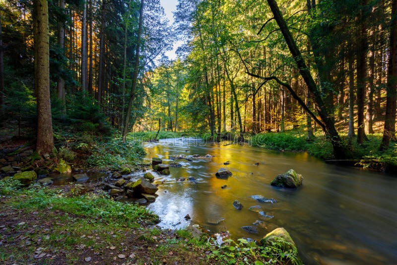 Autumn, fall wild river Doubrava, picturesque landscape.