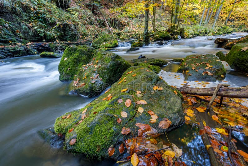 Autumn, fall wild river Doubrava, picturesque landscape.