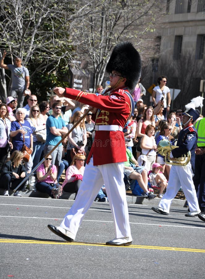 Czereśniowego okwitnięcia festiwalu parada obraz stock Czereśniowego okwitnięcia festiwalu parada obraz stock