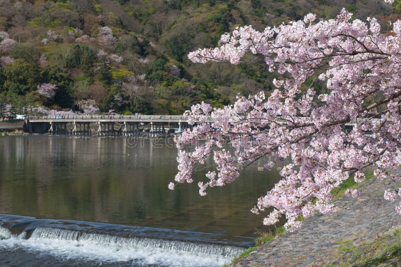 Czereśniowy okwitnięcie, Arashiyama w wiośnie, Kyoto, Japonia zdjęcie stock Czereśniowy okwitnięcie, Arashiyama w wiośnie, Kyoto, Japonia zdjęcie stock