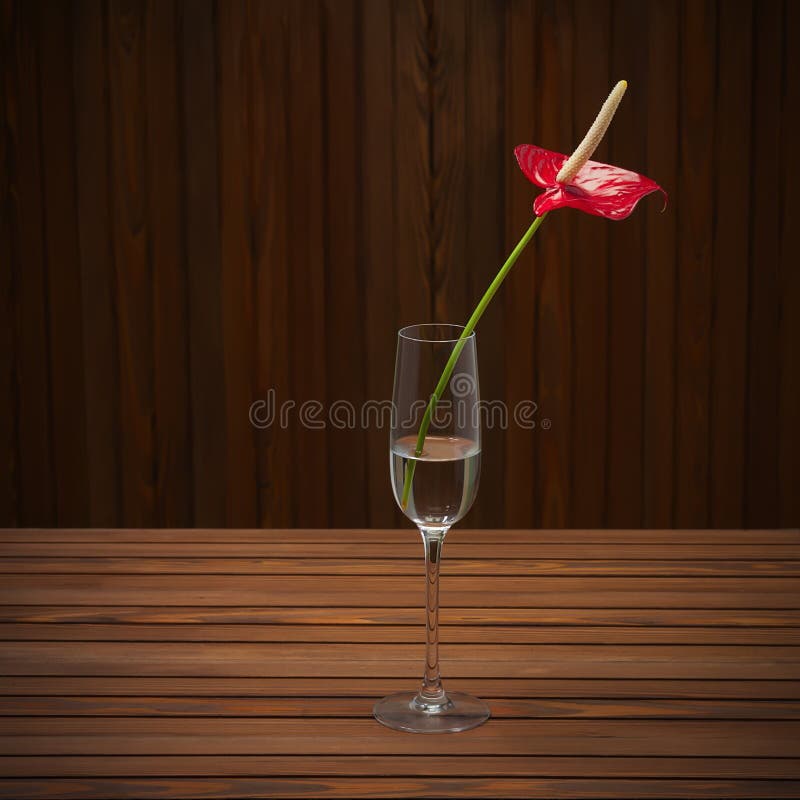 Czerwony anthurium (flaminga kwiat; Chłopiec kwiat w szklanej wazie) dalej zaleca się obraz stock Czerwony anthurium (flaminga kwiat; Chłopiec kwiat w szklanej wazie) dalej zaleca się obraz stock