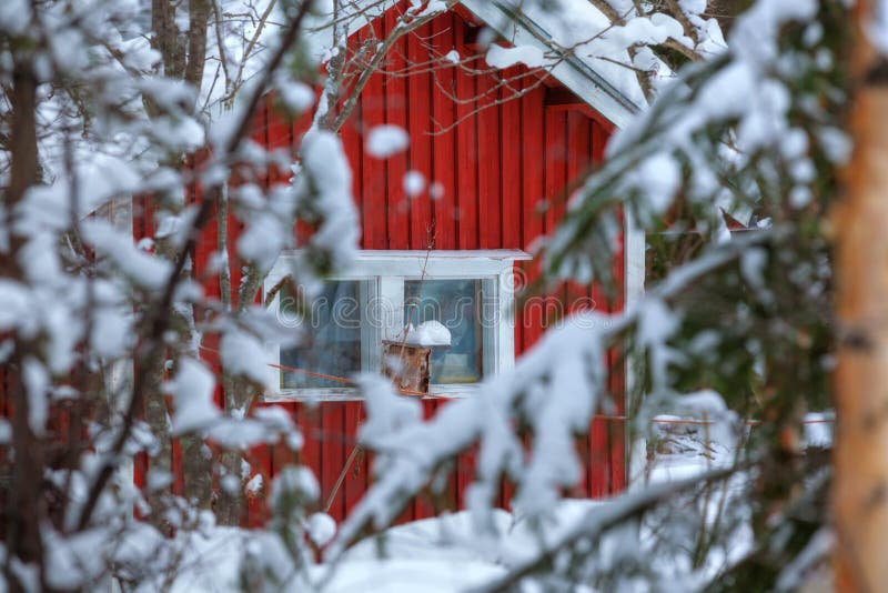 Czerwony drewniany finnish dom w lesie.