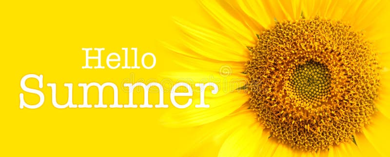 Cześć lato słonecznika i teksta zakończenia szczegóły w żółtym sztandaru tle