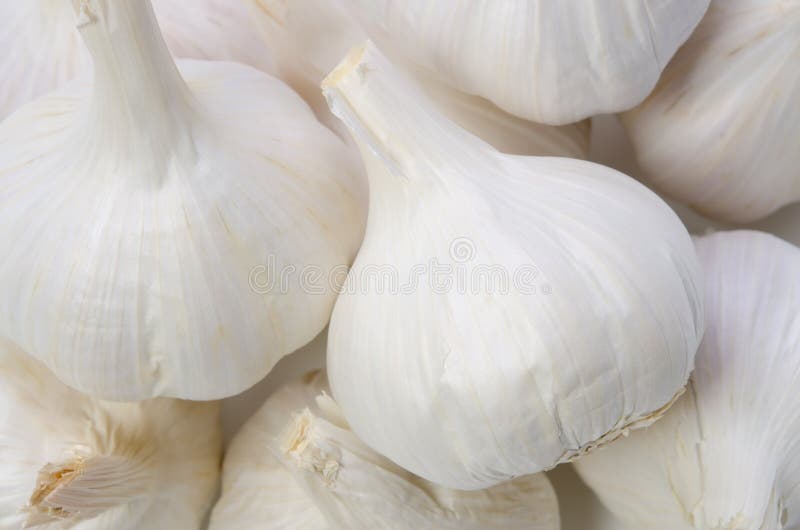 Cooking ingredient series garlic. for adv etc. of restaurant,grocery,and others. Cooking ingredient series garlic. for adv etc. of restaurant,grocery,and others.