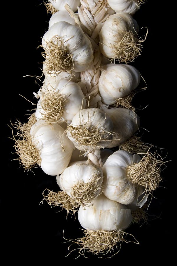 Garlic plait isolated on black background. Garlic plait isolated on black background