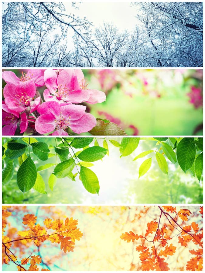 Four seasons. A pictures that shows four different pictures representing the four seasons: Spring, summer, autumn and winter. Four seasons. A pictures that shows four different pictures representing the four seasons: Spring, summer, autumn and winter